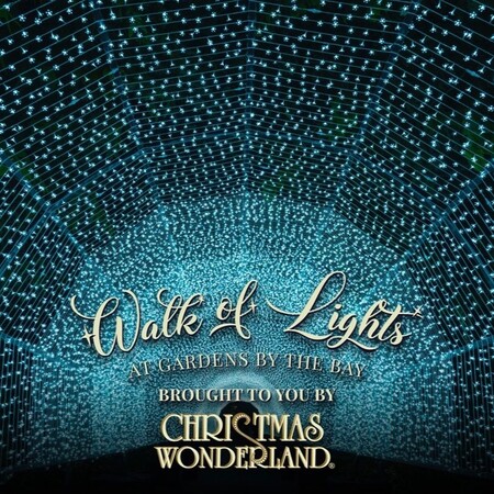 Launch of the Walk of Lights at Gardens By The Bay Brought to you by Christmas Wonderland