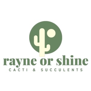 rayne-or-shine